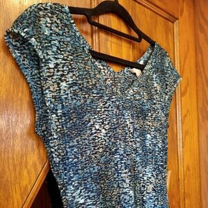 Banana Republic Semi Sheer V Neck with Camisole